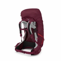 Osprey Aura AG LT 65 -Outdoor Equipment Store 102352103 Osprey Aura AG LT 65 AntidotePurpleRear