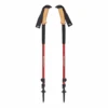 Black Diamond Trail Ergo Cork Trekking Poles -Outdoor Equipment Store BD1125066006ALL1 trail ergo cork trekking poles