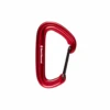 Black Diamond Litewire Carabiner
